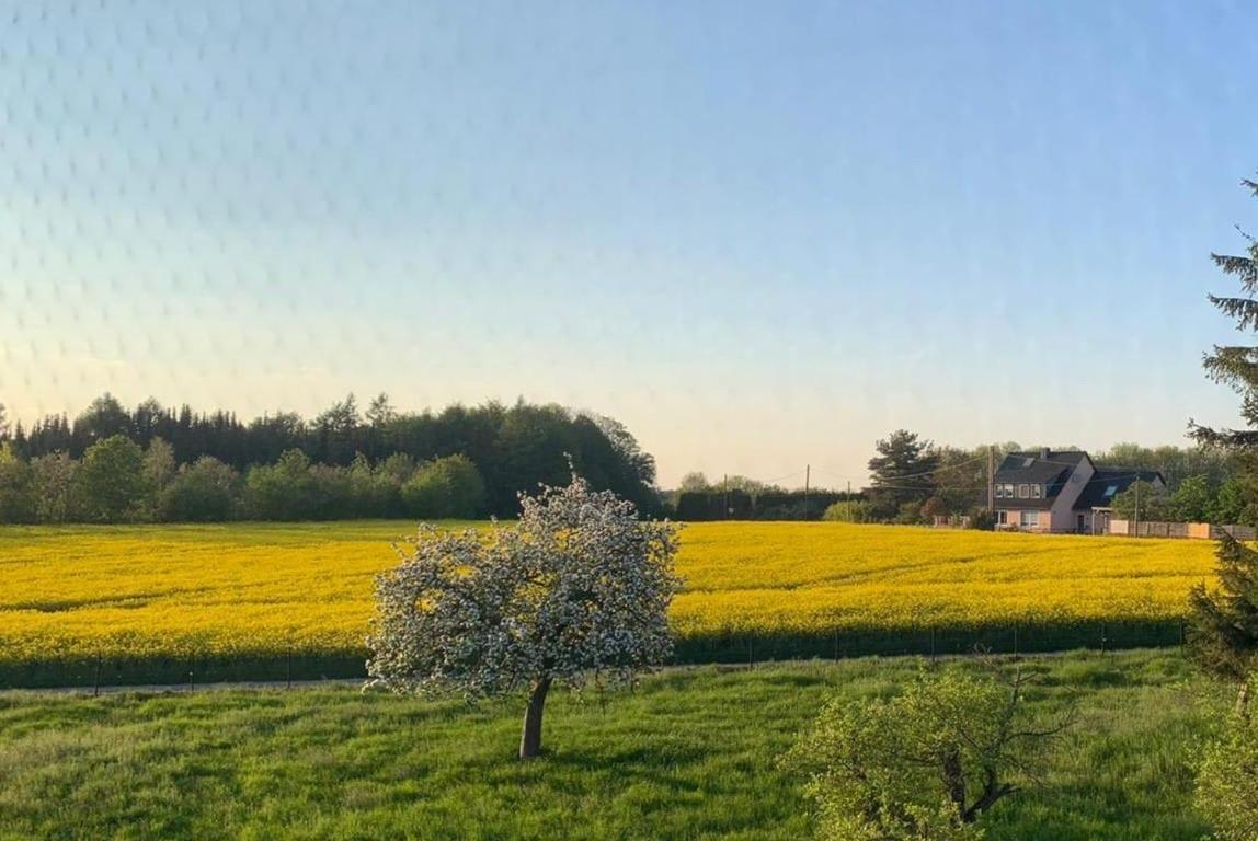 Ferienwohnung Kleine Auszeit mit Aussicht Velbert Tönisheide Exterior foto